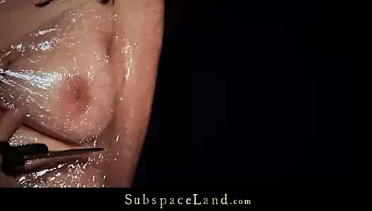 Esmer köle için zor itaat dersleri