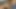Bu esmer için derin gırtlak ve dildoyla çifte penetrasyon