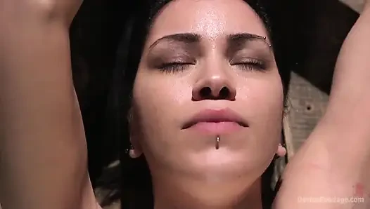 Acemi acı sürtük Cassandra Cain orgazm oluyor ve metal esaret altında