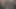 Latinler sert sikildikten sonra grup sekste fışkırtıyor