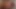 porno anal