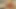 İlk porno çekimi için küçük yarağını emiyor