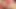 Büyük şişman seksi iri güzel kadınlar kaslı bir adamın büyük sert yarağını götlerine ve amcıklarına alıyor