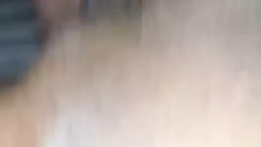 Yakın çekim - abanoz kedi nüfuz kaba