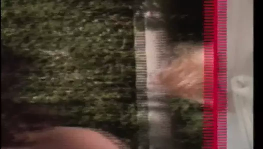 Kızları seven kızlar (1984, biz, bridgette monet, tam dvd)