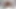 Siyah vücut çorapları, büyük dildo, fışkırtma