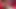 Siyah külotlu çoraplı esmer transeksüel domina kölesini sikiyor