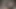 Seksi büyük ganimet beyaz kadınlar başarılı siyah erkekler tarafından derin ve sert becerdin almak