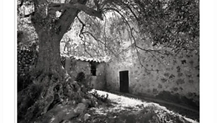 Siyah--dul slayt gösterisi-siyah-beyaz