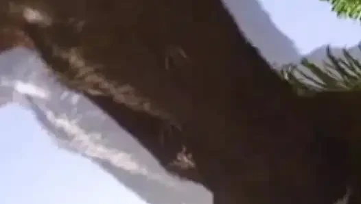 Florida amateurs havuz başı oyun zamanı