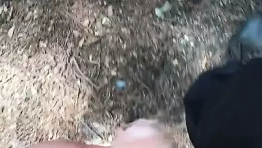 ormanda yürüyüş 1