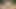 pov seksi kız arkadaş şehvetli emme ve sürme üzerinde horoz