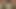 Travesti trung sohbet sekshoe göt deliği