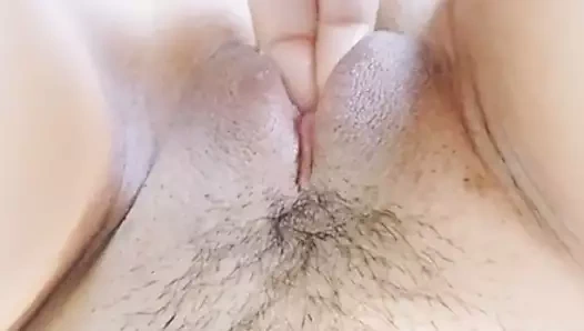 damlayan ıslak kedi