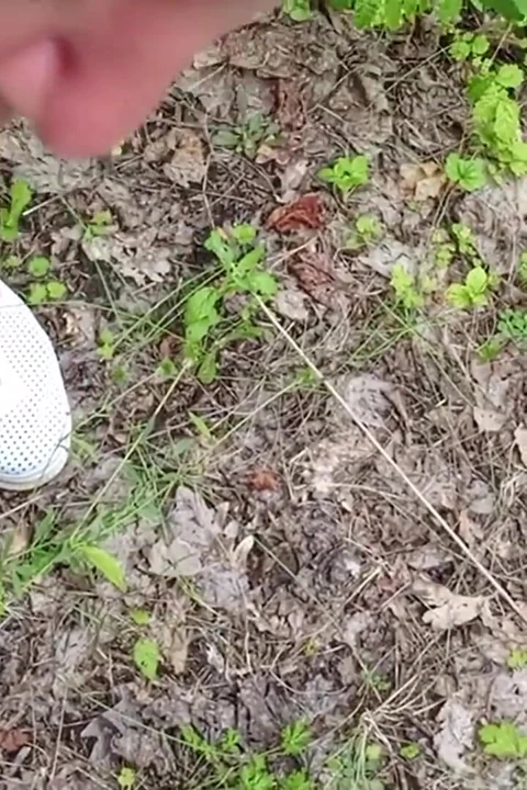 Bir arkadaşım parkta sikimi emiyor ve döl yutuyor