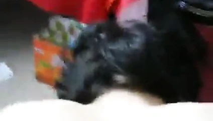 Sevgilim hardcore beni sikikleri iken benim erkek arkadaşım okulda