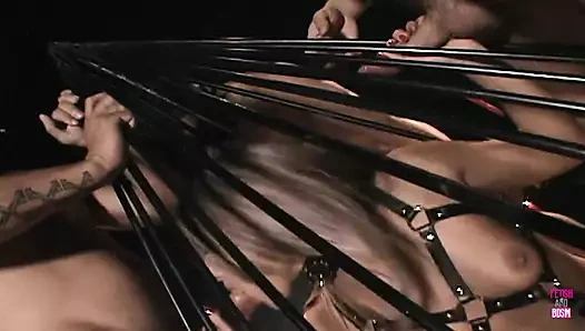 Yaramaz sarışın üç adam tarafından kafese konur ve tüm yaraklarını emiyor