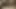 Bbw anal yapay penis içinde topuk