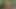Peasant boy meets an Indian woman in the middle of the forest and ends up giving her the best fuck of his life