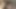 Üvey erkek kardeşten üvey kız kardeş için oral seks talimatları son derece başarılı oldu