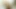 İri göğüslü Michelle Thorne seksi ve azgın ve sikişmek istiyor