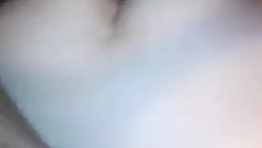 hızlı köpek oturumu