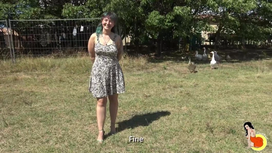 Büyük göt tombul kala sahip olan bir Hardcore üçlü ve dp