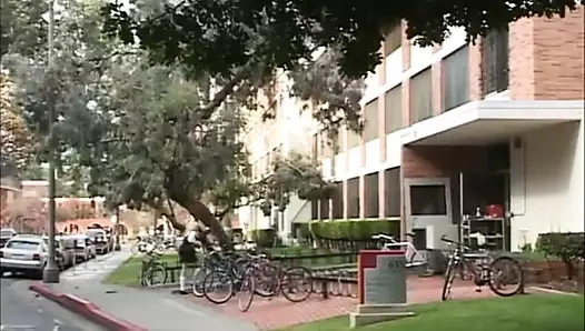 Amerikan koleji xxx!!! - (orijinal hd) - hikaye n. #25