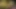 Cüce İspanyol bebek Munequita porno adamlarımız için çaresiz!