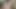 Silver daddy masturbating again