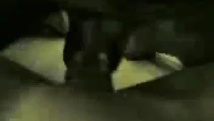 Finnaly sana aşkım diyebilirim