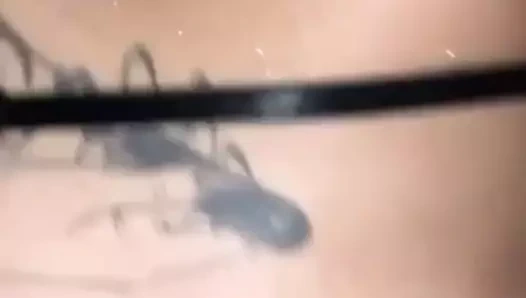 Missieux sert sikişiyor