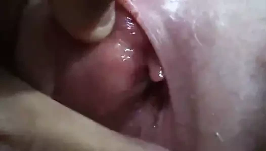 olgun kızıl saçlı güzel yakın çekim KEDİ