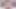 Gorgeous Trap Gabriella Andrade Has Her Asshole Pumped Full of Cum