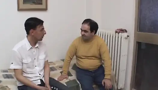 Sevimli komşu iki edepsiz domuz tarafından hedef alınıyor