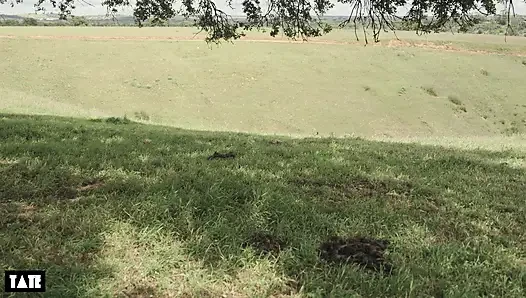 Eski sevgilimle tanıştım ve sonunda tepelerde sakso çekti
