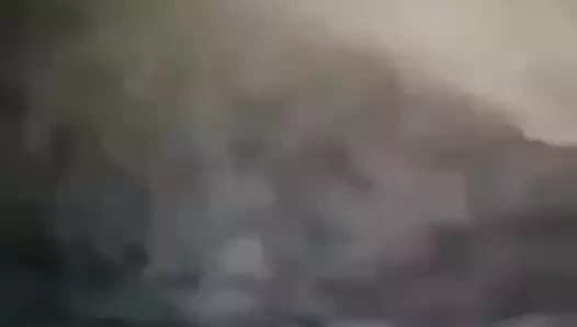 Srilankan kedi oyun kız