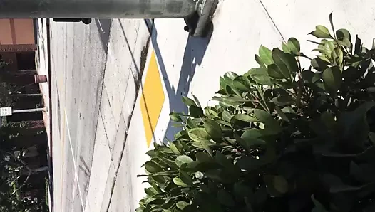 Büyük memeler!. Mov