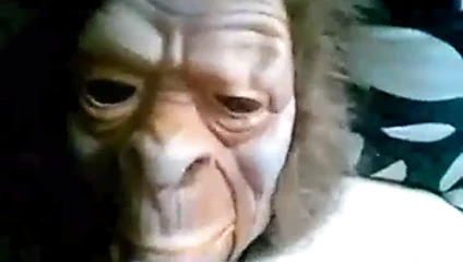 Maymunları neden seviyorum