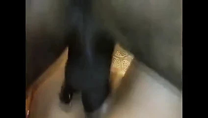 Beyaz bir eş nasıl kremlenir, sonra döllenir