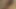 Seksi küçük zenci sürtük dik memelere döl atacak büyük beyaz bir yarak almayı seviyor