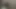 Feminine Tayland oğlan becerdin tarafından büyük beyaz horoz