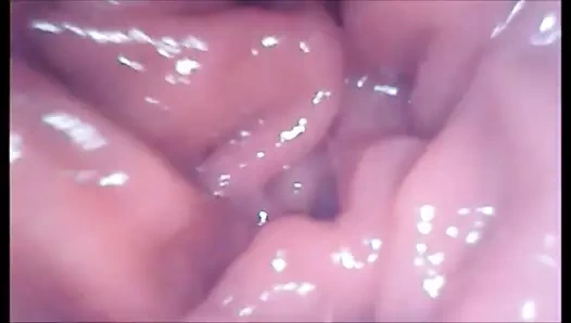 benim anal KEDİ iç görünüm