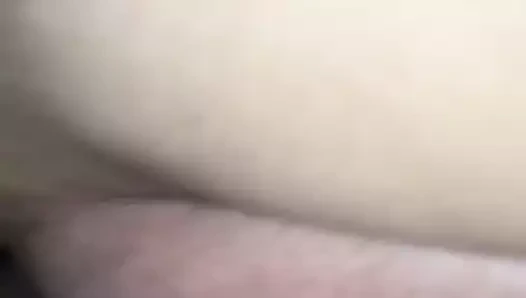 Beyaz tavşan ve latino