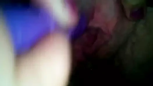 Dikler661 AVI dışarı kedi ve eşek