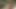 Çiftliğinde saatlerce ekildikten sonra ıslak fışkırtarak bana ödeme yapmaya karar verdi