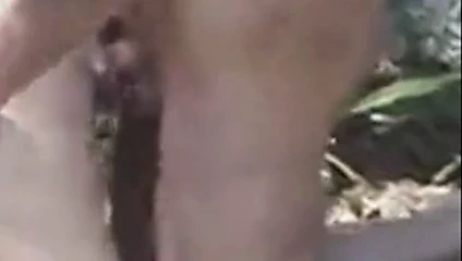 arka bahçe komşuları