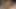 Prinzzess çalış ile dani daniels mükemmel kedi