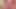 Damızlık üvey anne