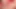 Travesti-travesti - iki sevimli travesti birlikte eğleniyor.